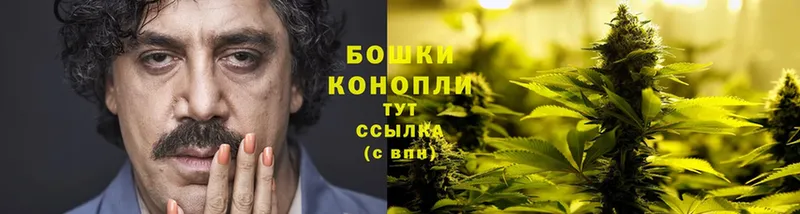 купить наркотики цена  blacksprut онион  Каннабис White Widow  Балаково 